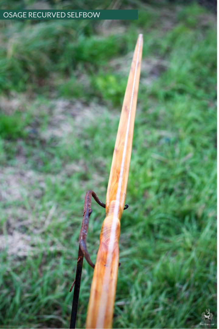 RECURVED OSAGE SELFBOW, 67 INCH NTN, 45 LBS-Bow-Fairbow-Fairbow