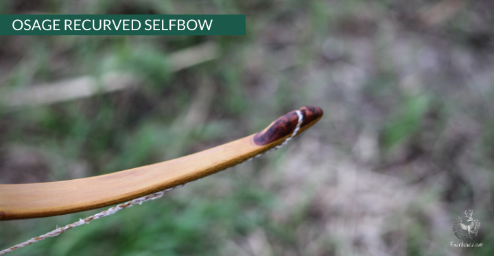 RECURVED OSAGE SELFBOW, 67 INCH NTN, 45 LBS-Bow-Fairbow-Fairbow