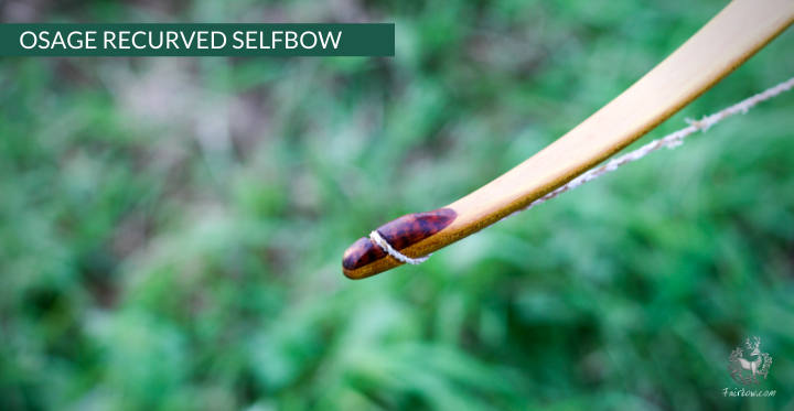 RECURVED OSAGE SELFBOW, 67 INCH NTN, 45 LBS-Bow-Fairbow-Fairbow