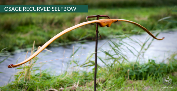RECURVED OSAGE SELFBOW, 67 INCH NTN, 45 LBS-Bow-Fairbow-Fairbow