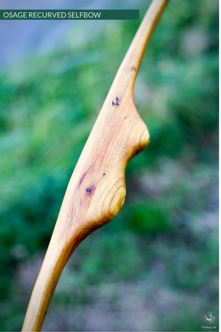 RECURVED OSAGE SELFBOW, 67 INCH NTN, 45 LBS-Bow-Fairbow-Fairbow