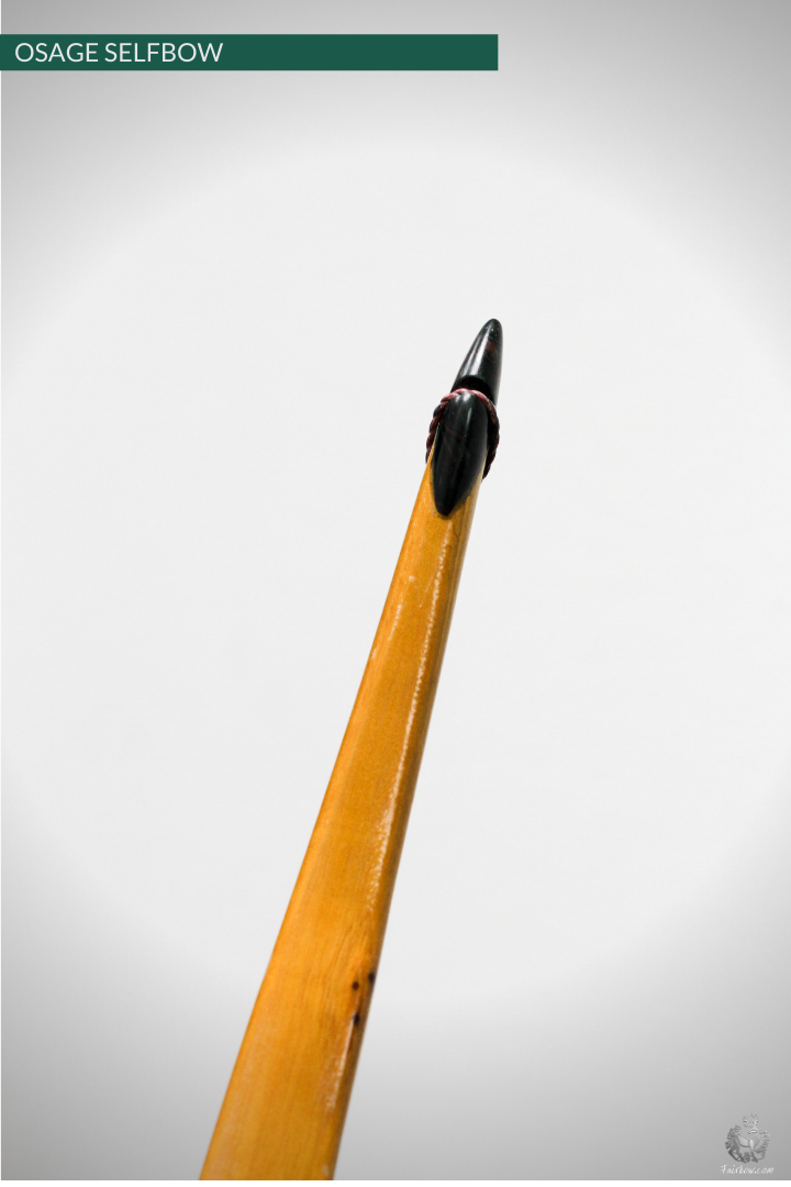 RECURVED OSAGE SELFBOW, 68 INCH NTN, 47 LBS-Bow-Fairbow-Fairbow