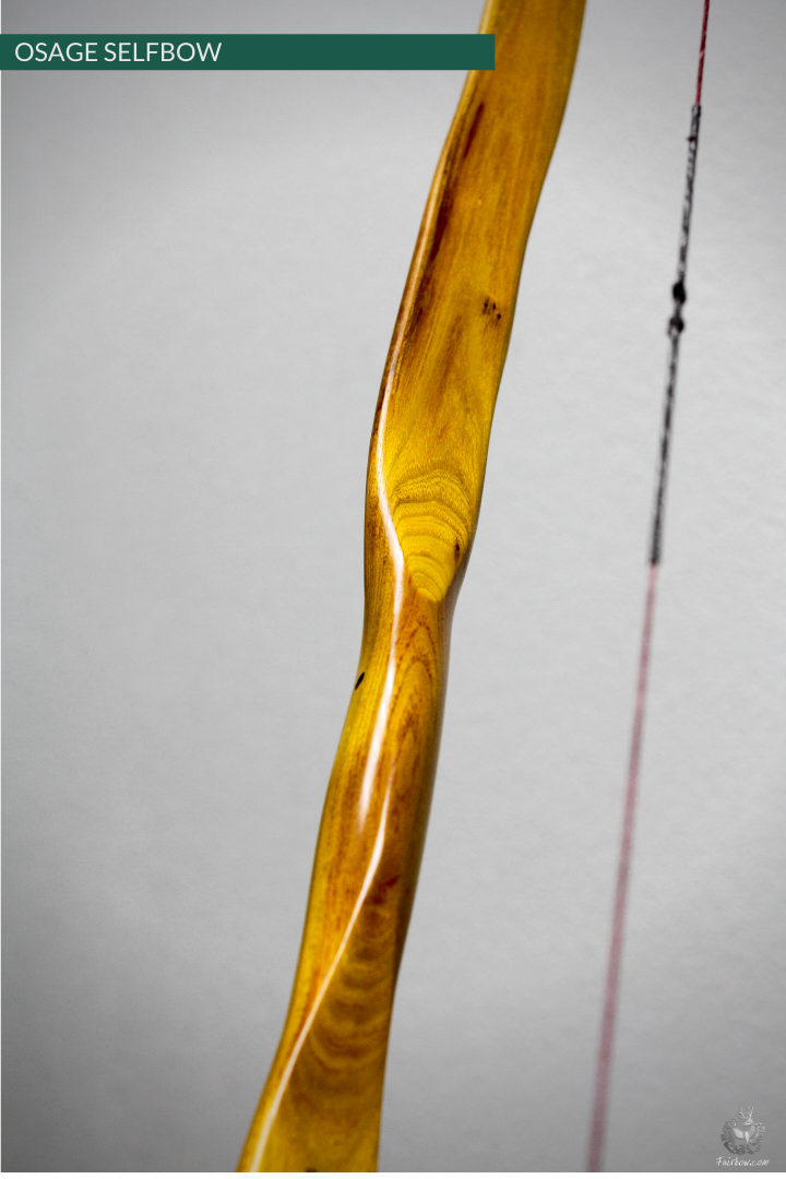 RECURVED OSAGE SELFBOW, 68 INCH NTN, 47 LBS-Bow-Fairbow-Fairbow