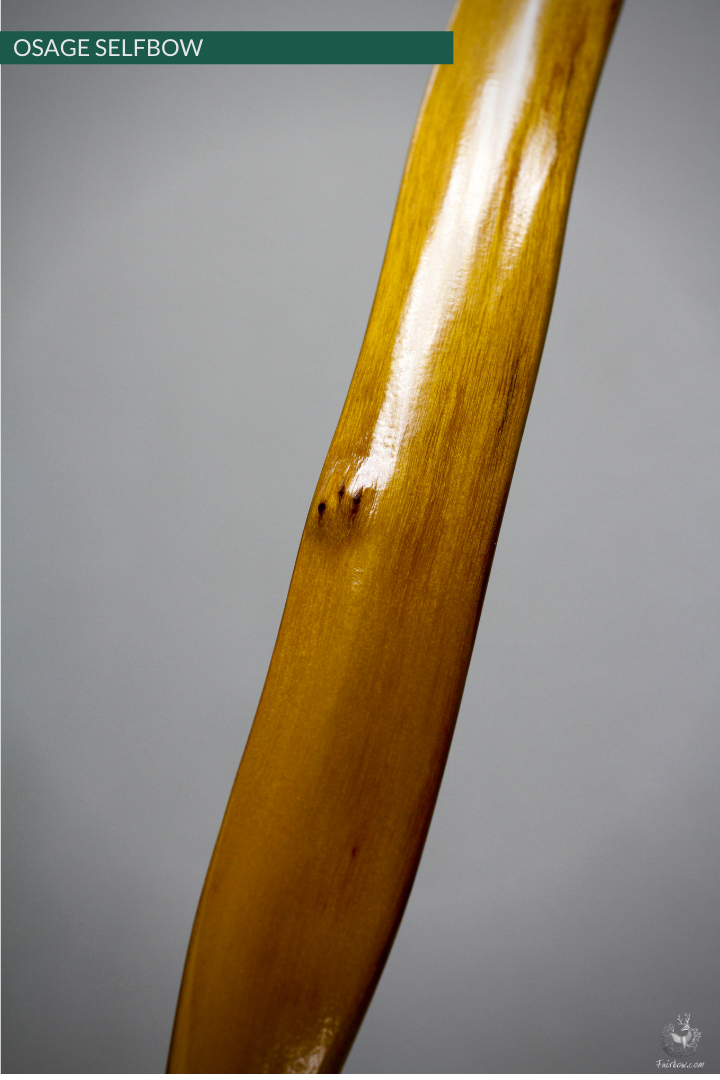 RECURVED OSAGE SELFBOW, 68 INCH NTN, 47 LBS-Bow-Fairbow-Fairbow