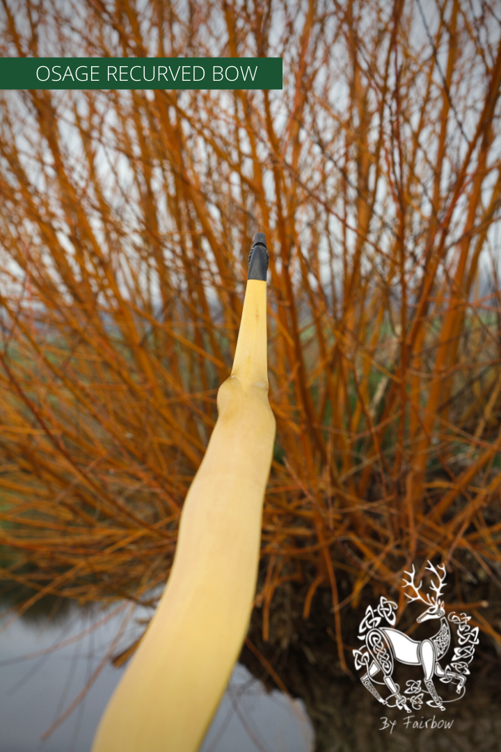 RECURVED OSAGE SELFBOW, 70 INCH NTN, 30 LBS LH-Bow-Fairbow-Fairbow