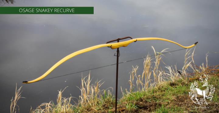 RECURVED OSAGE SELFBOW, 70 INCH NTN, 30 LBS LH-Bow-Fairbow-Fairbow