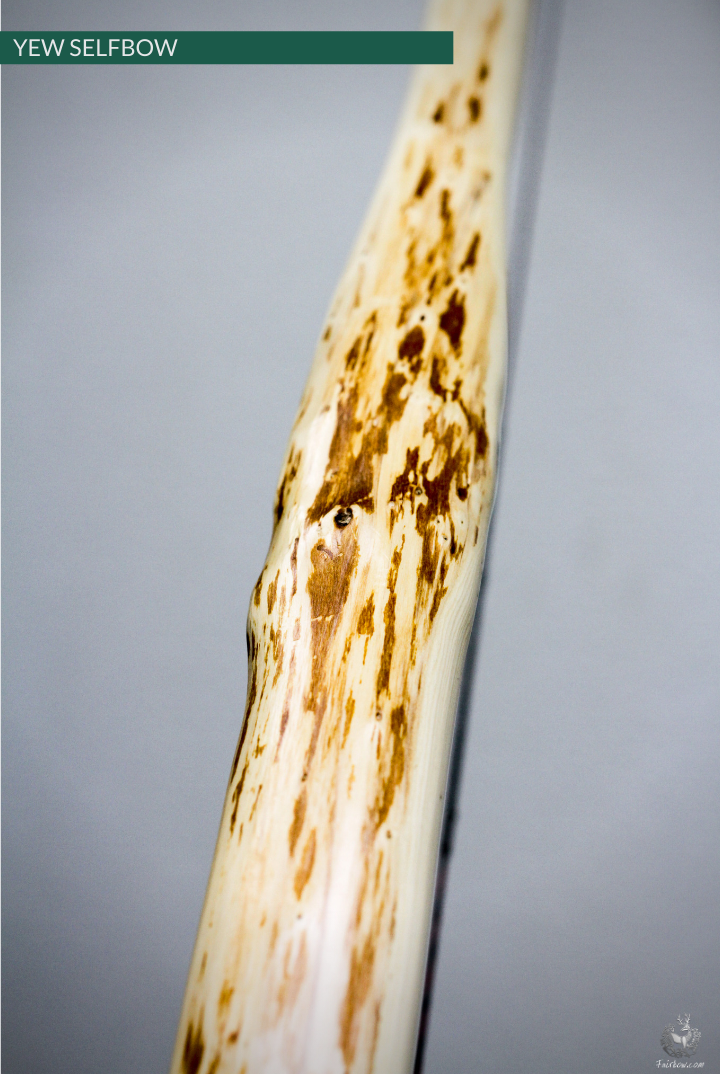 RECURVED YEW SELFBOW, 66 INCH NTN, 53 LBS-Bow-Fairbow-Fairbow