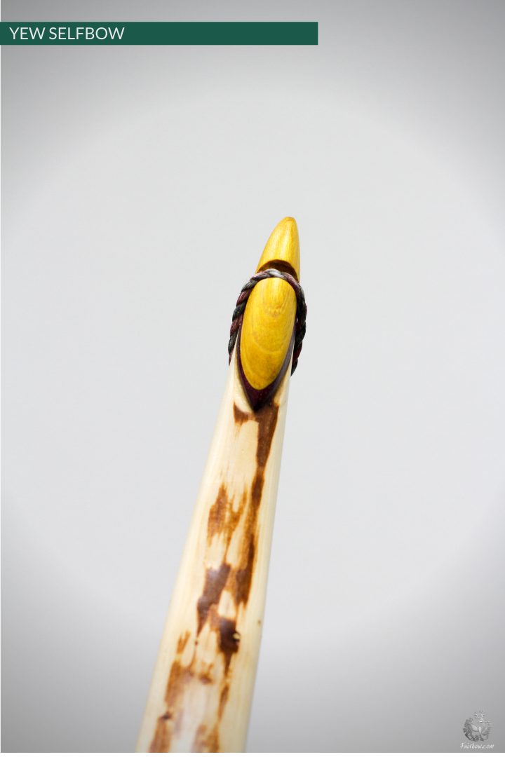 RECURVED YEW SELFBOW, 66 INCH NTN, 53 LBS-Bow-Fairbow-Fairbow