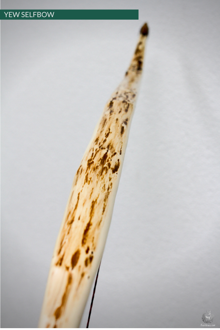 RECURVED YEW SELFBOW, 66 INCH NTN, 53 LBS-Bow-Fairbow-Fairbow