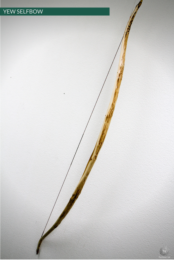 RECURVED YEW SELFBOW, 66 INCH NTN, 53 LBS-Bow-Fairbow-Fairbow