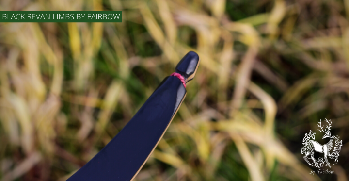REVAN BY FAIRBOW BLACK ILF RECURVE LIMBS-Bow-Fairbow-20 lbs-Fairbow