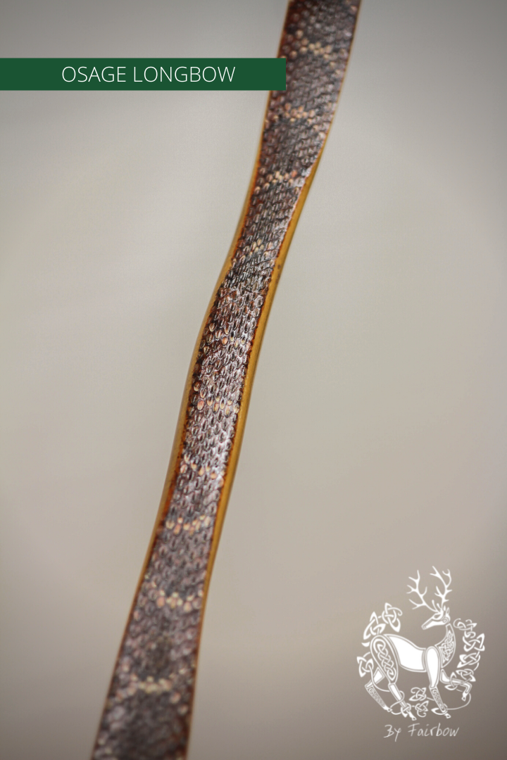 ROBINIA SELFBOW, 71 INCH NTN, 36 LBS-Bow-Fairbow-Fairbow