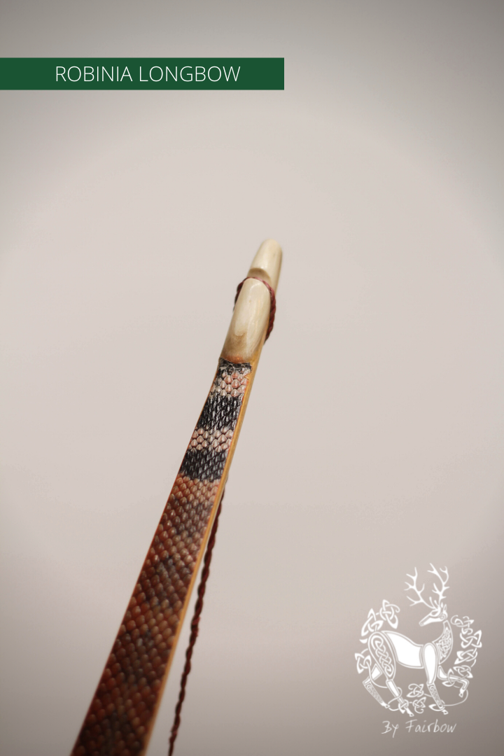 ROBINIA SELFBOW, 71 INCH NTN, 36 LBS-Bow-Fairbow-Fairbow