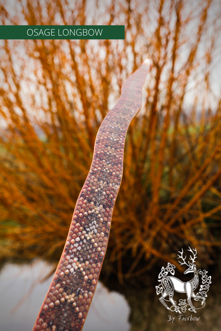 ROBINIA SELFBOW, 71 INCH NTN, 36 LBS-Bow-Fairbow-Fairbow