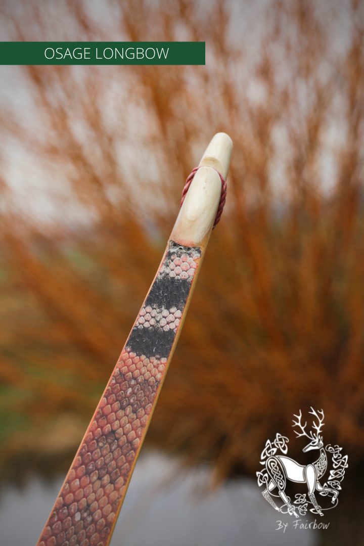 ROBINIA SELFBOW, 71 INCH NTN, 36 LBS-Bow-Fairbow-Fairbow