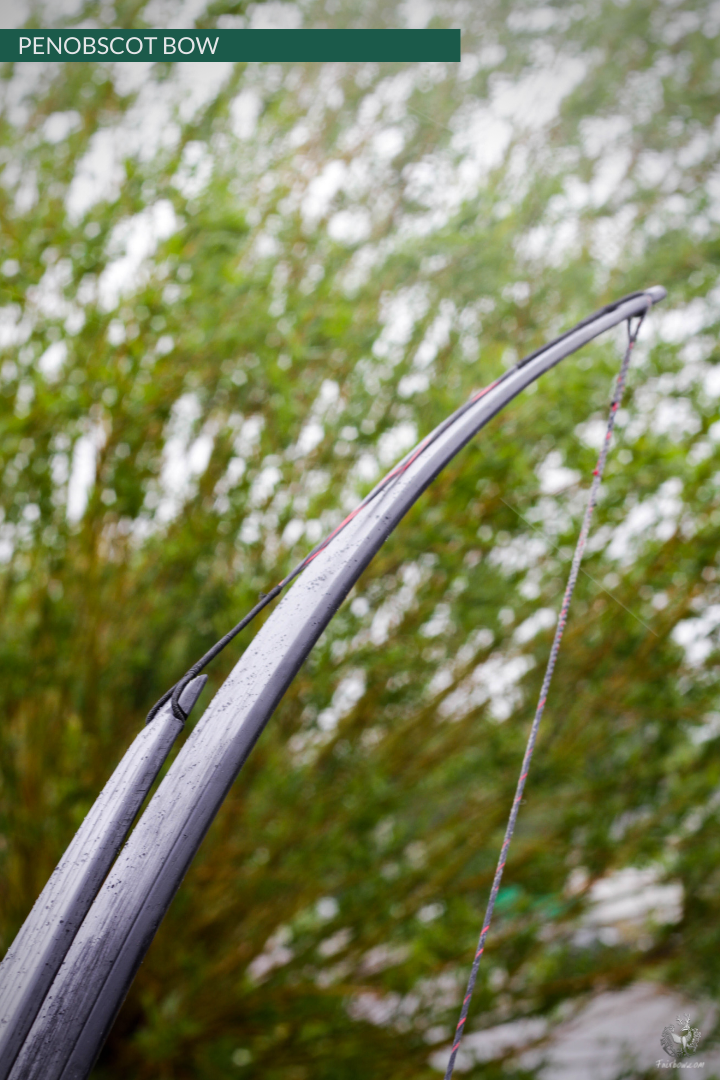 SELF HICKORY LONGBOW (AFB), THE PENOBSCOT IN BLACK CUSTOM-Bow-Fairbow-Fairbow