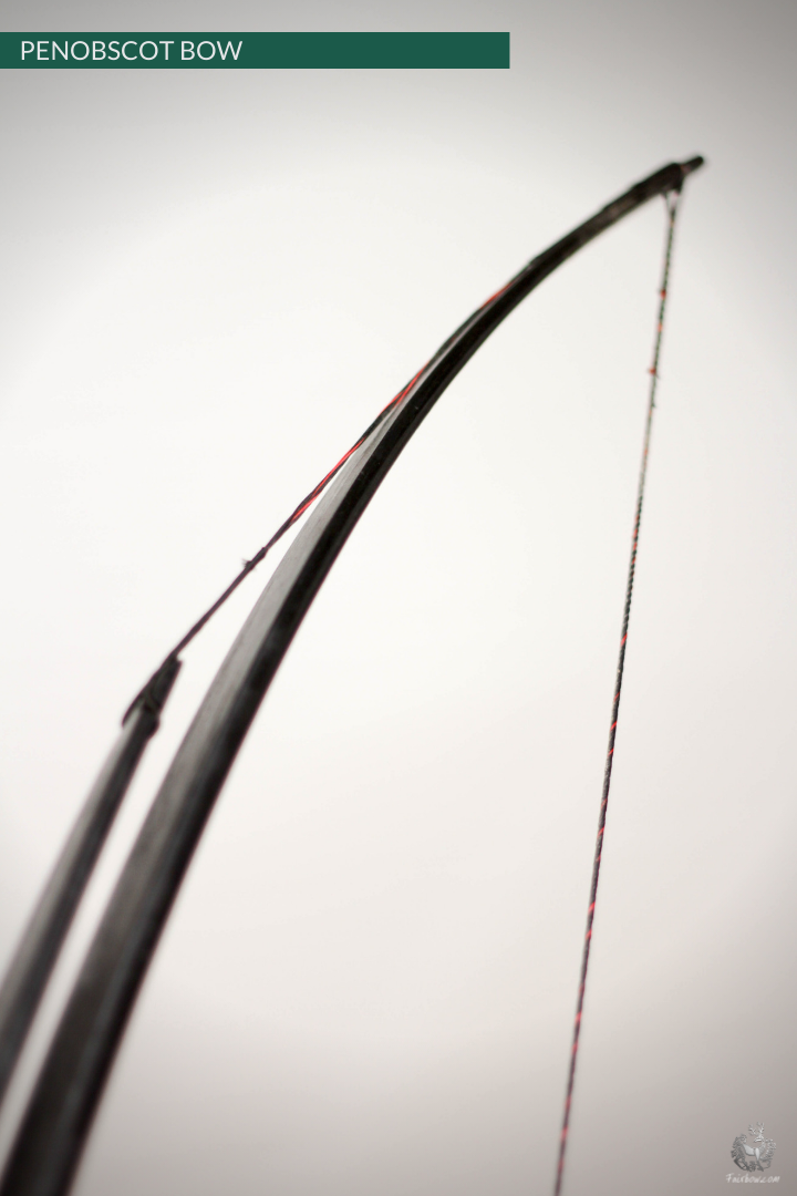 SELF HICKORY LONGBOW (AFB), THE PENOBSCOT IN BLACK CUSTOM-Bow-Fairbow-Fairbow