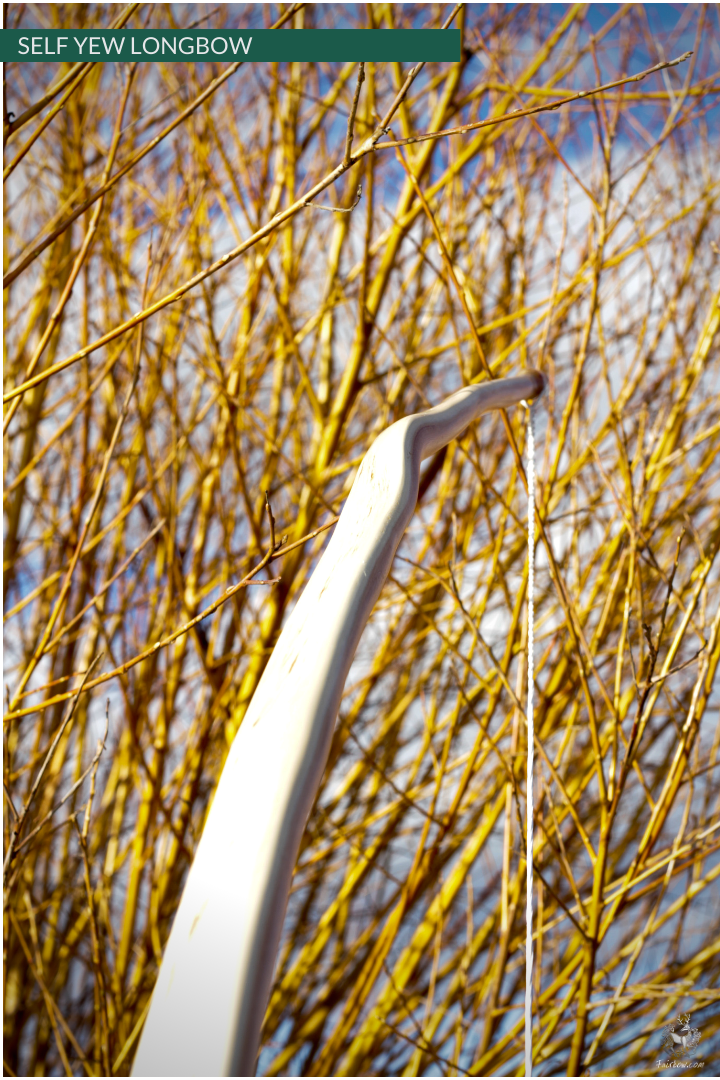SELF YEW ENGLISH LONGBOW, 54 LBS @ 28 INCH, 75 INCH NTN-Bow-Fairbow-Fairbow