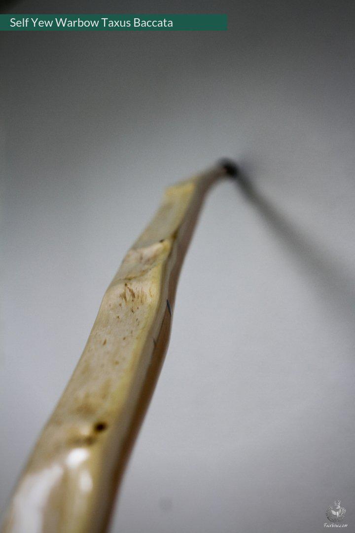 SELF YEW ENGLISH LONGBOW, WARBOW, 132@32-Bow-Fairbow-Fairbow