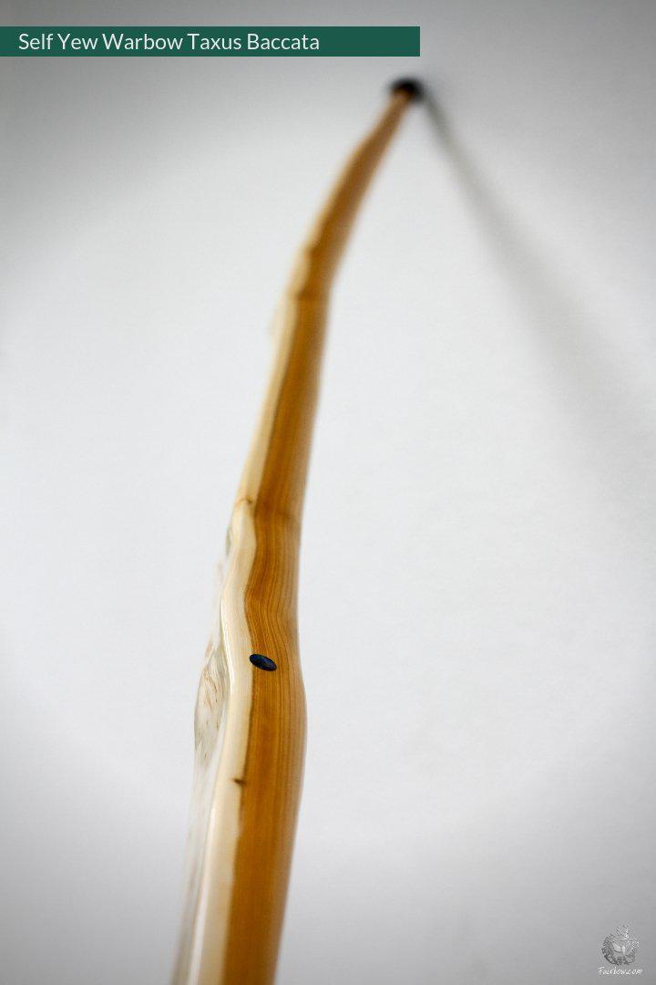 SELF YEW ENGLISH LONGBOW, WARBOW, 132@32-Bow-Fairbow-Fairbow
