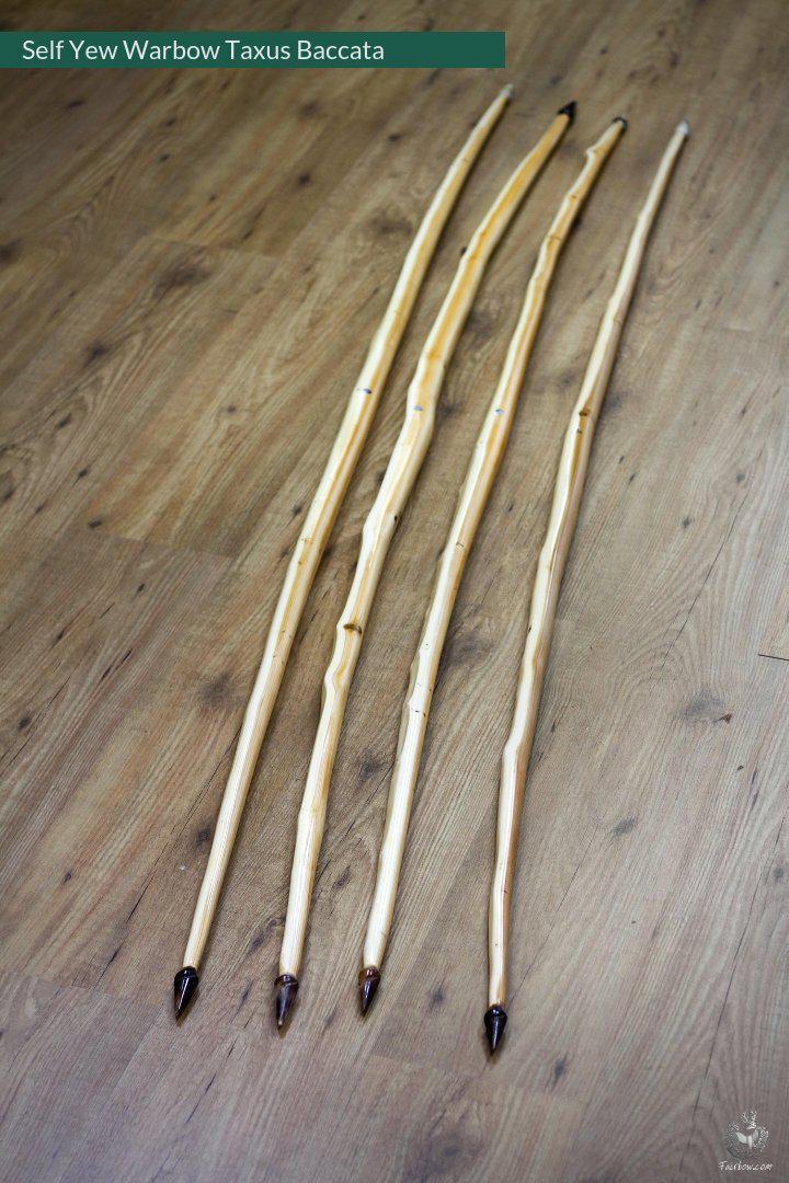 SELF YEW ENGLISH LONGBOW, WARBOW, 132@32-Bow-Fairbow-Fairbow