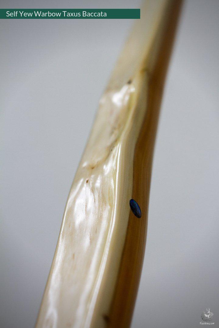 SELF YEW ENGLISH LONGBOW, WARBOW, 132@32-Bow-Fairbow-Fairbow