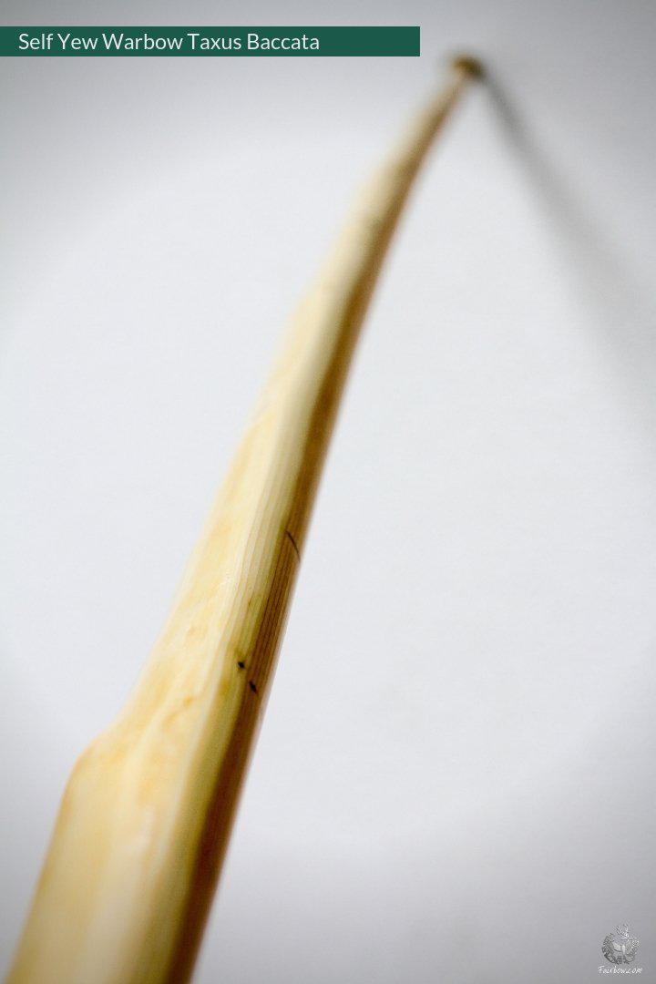 SELF YEW ENGLISH LONGBOW, WARBOW, 141@32-Bow-Fairbow-Fairbow