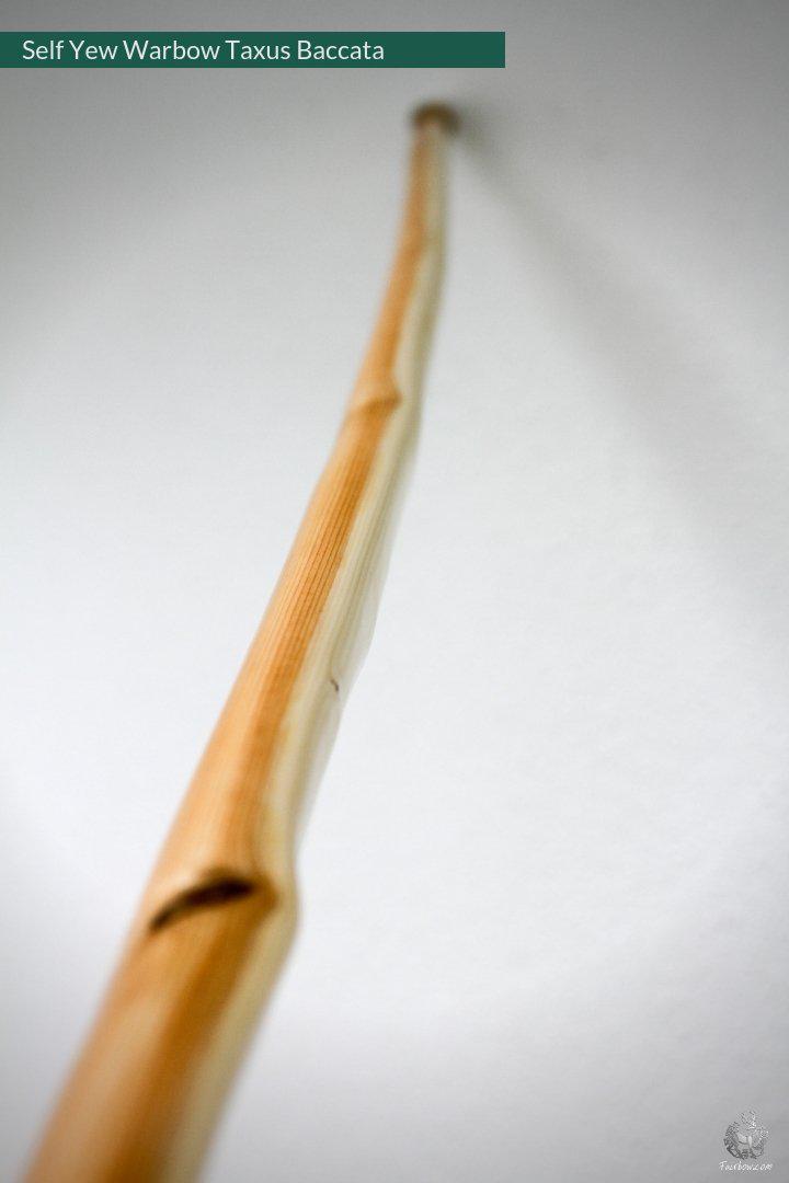 SELF YEW ENGLISH LONGBOW, WARBOW, 141@32-Bow-Fairbow-Fairbow