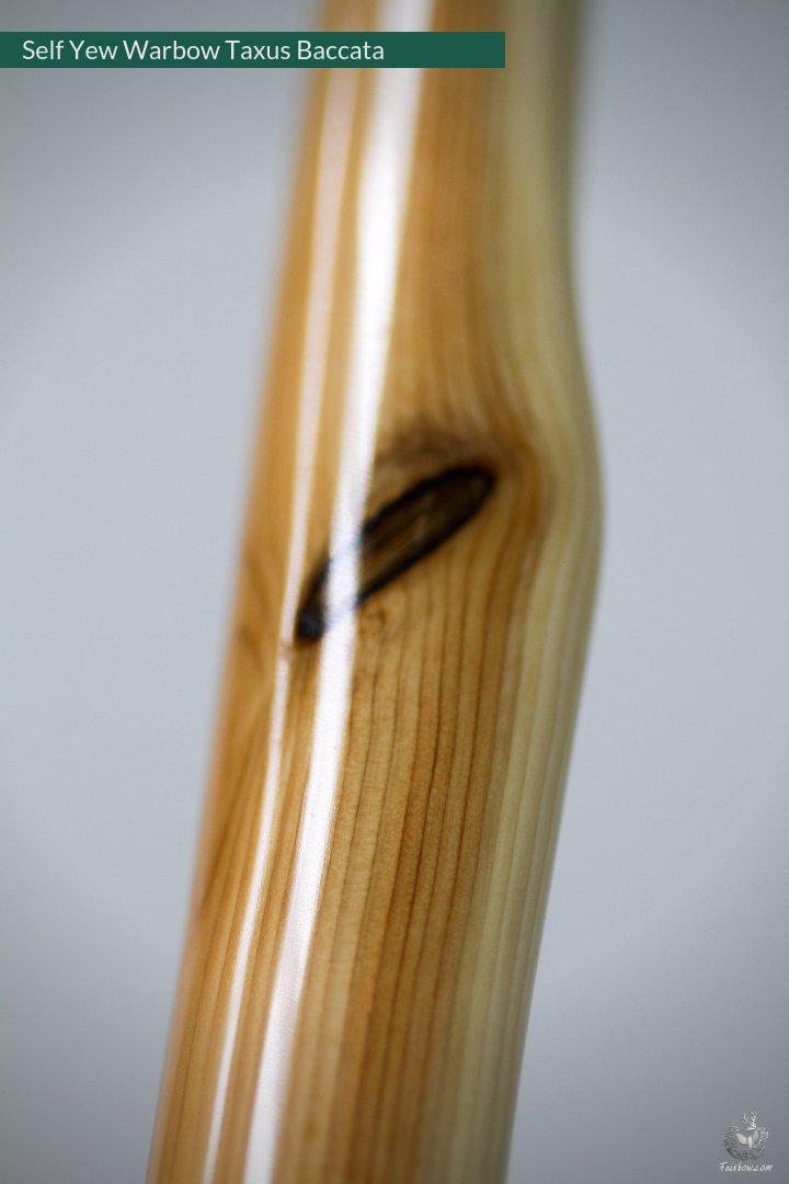 SELF YEW ENGLISH LONGBOW, WARBOW, 141@32-Bow-Fairbow-Fairbow