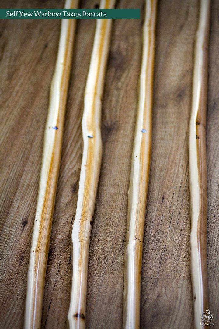 SELF YEW ENGLISH LONGBOW, WARBOW, 141@32-Bow-Fairbow-Fairbow