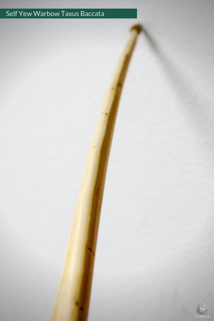 SELF YEW ENGLISH LONGBOW, WARBOW, 141@32-Bow-Fairbow-Fairbow