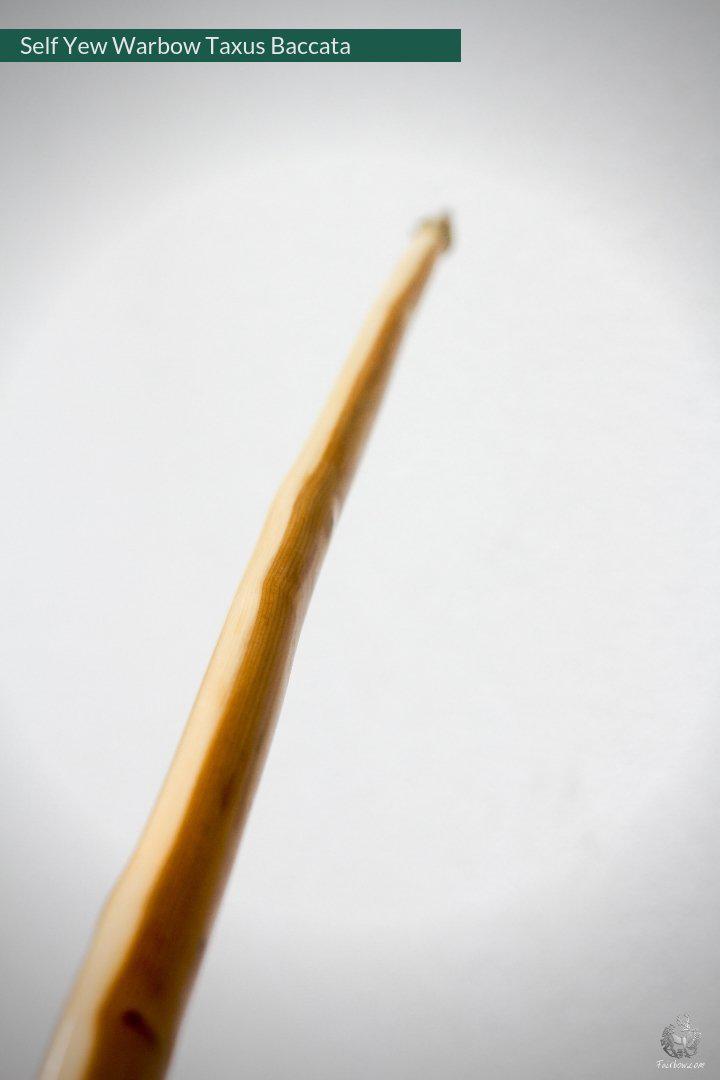 SELF YEW ENGLISH LONGBOW, WARBOW, 68@28, 71@32-Bow-Fairbow-Fairbow