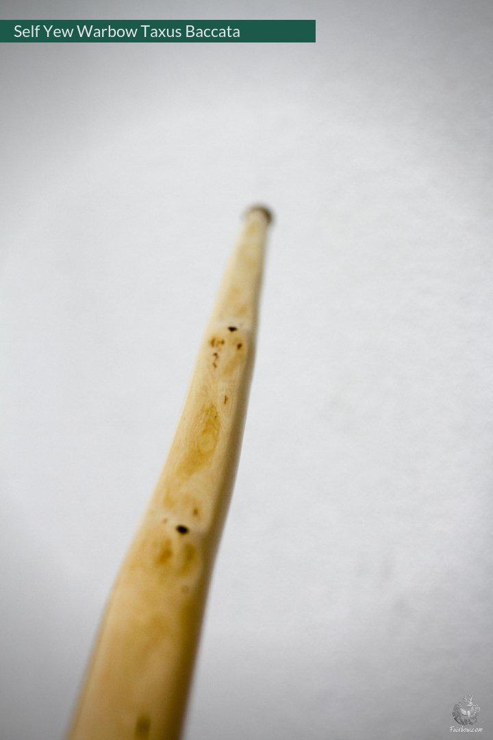 SELF YEW ENGLISH LONGBOW, WARBOW, 68@28, 71@32-Bow-Fairbow-Fairbow