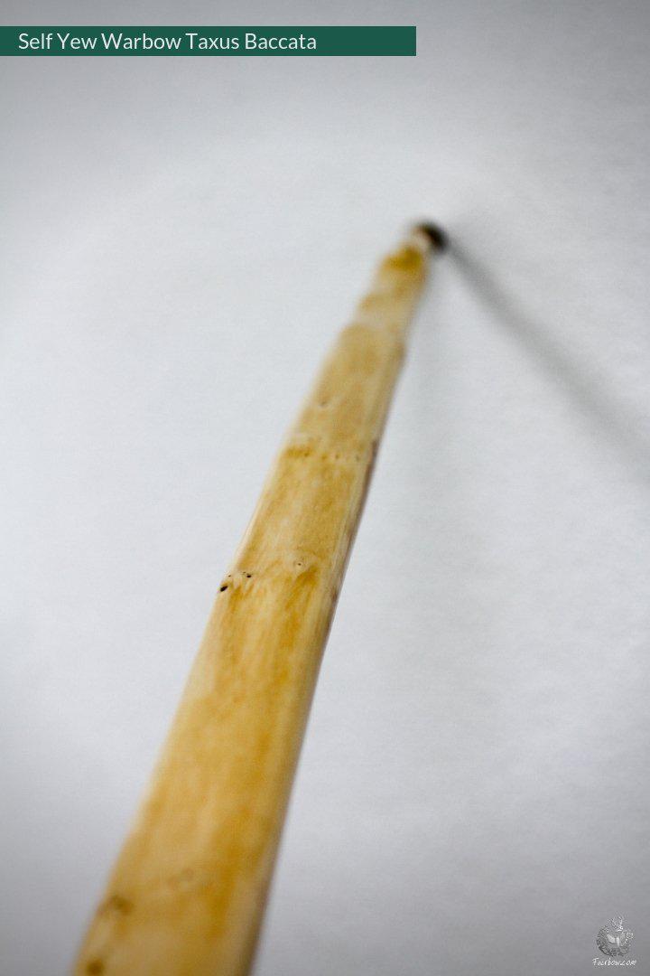 SELF YEW ENGLISH LONGBOW, WARBOW, 68@28, 71@32-Bow-Fairbow-Fairbow