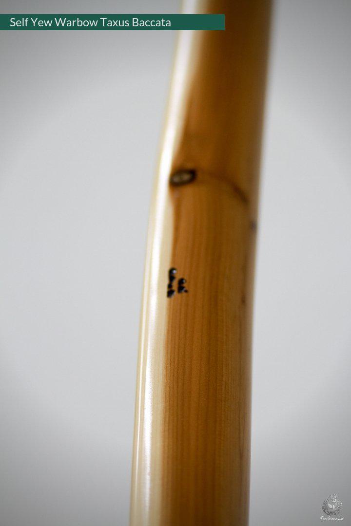 SELF YEW ENGLISH LONGBOW, WARBOW, 68@28, 71@32-Bow-Fairbow-Fairbow