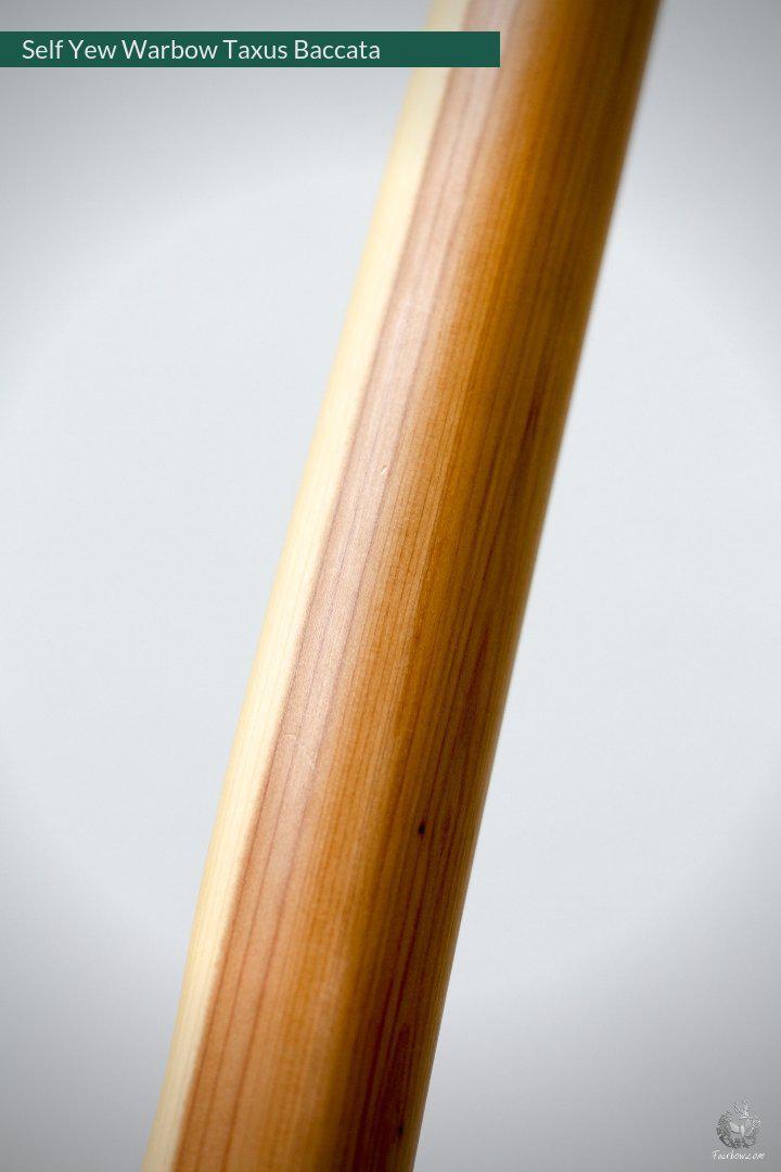 SELF YEW ENGLISH LONGBOW, WARBOW, 68@28, 71@32-Bow-Fairbow-Fairbow