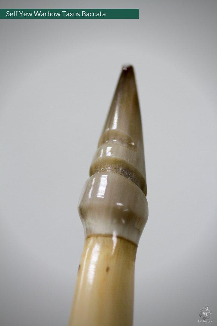 SELF YEW ENGLISH LONGBOW, WARBOW, 68@28, 71@32-Bow-Fairbow-Fairbow