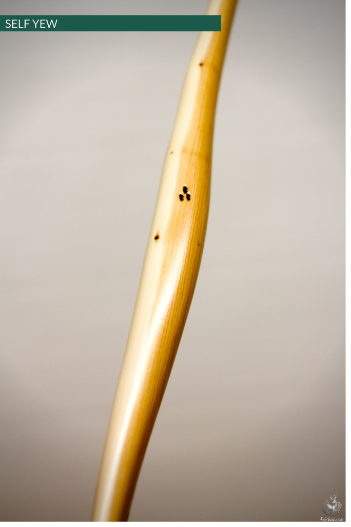 SELF YEW LONGBOW (AFB), 43 LBS @ 28 INCH, 70 INCH t-t-t-Bow-Fairbow-Fairbow