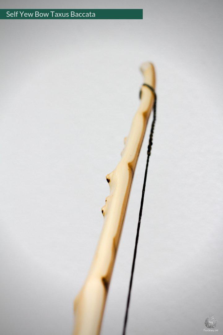 SELF YEW LONGBOW (AFB), 49 LBS @ 28 INCH, 68 INCH NTN-Bow-Fairbow-Fairbow