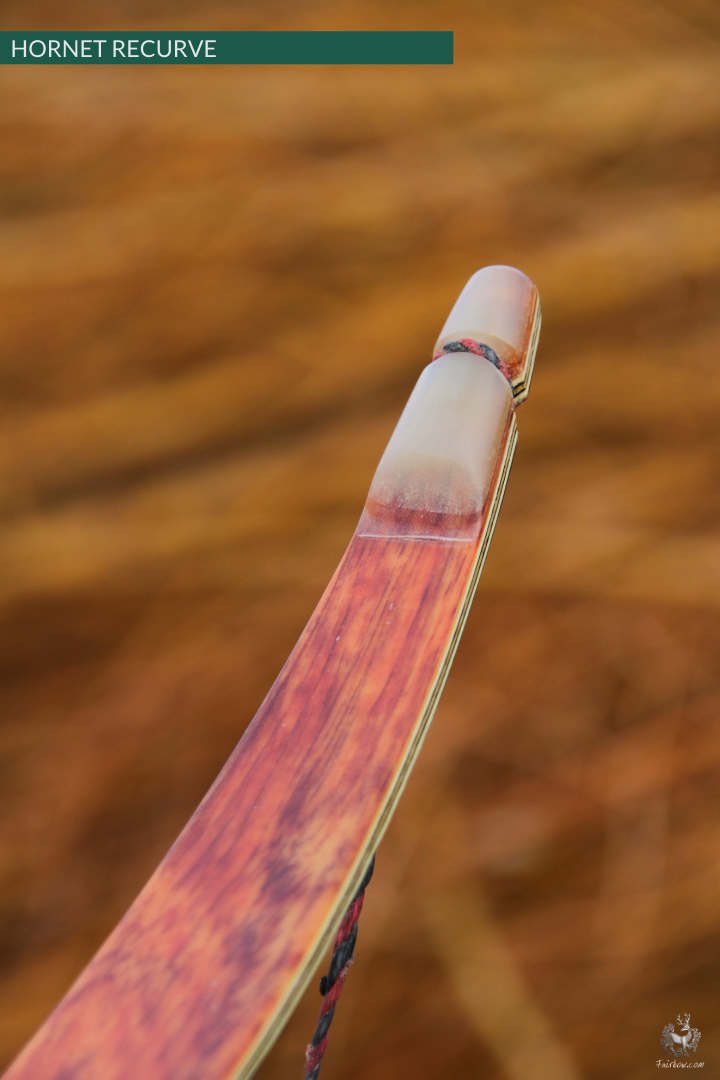 THE HORNET AN ASIAN RECURVE HORSEBOW 74 LBS @ 28 INCH-Bow-Fairbow-Fairbow