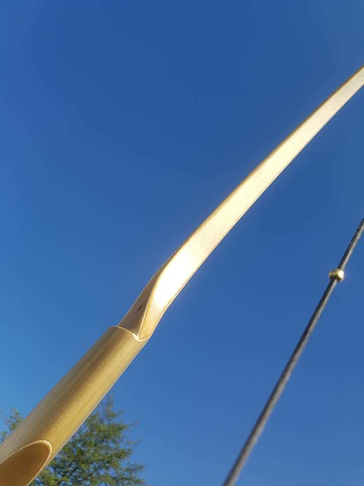 THE REBEL BOW WITH BACKSET 43@28 BLACK LIMBA-Bow-Fairbow-Fairbow