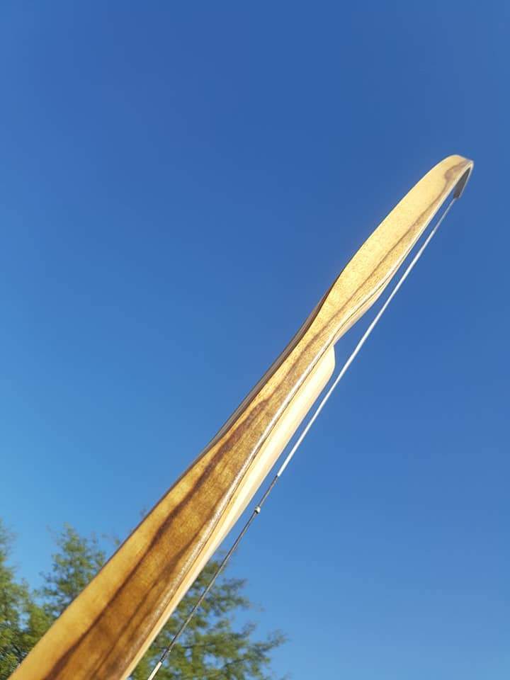 THE REBEL BOW WITH BACKSET 43@28 BLACK LIMBA-Bow-Fairbow-Fairbow