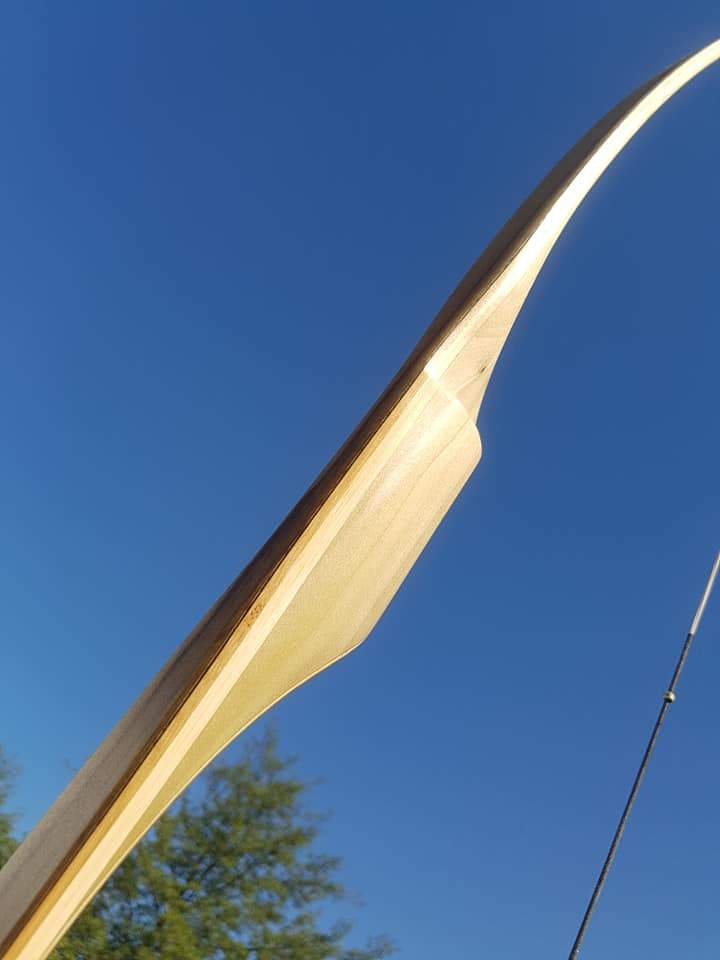 THE REBEL BOW WITH BACKSET 43@28 BLACK LIMBA-Bow-Fairbow-Fairbow