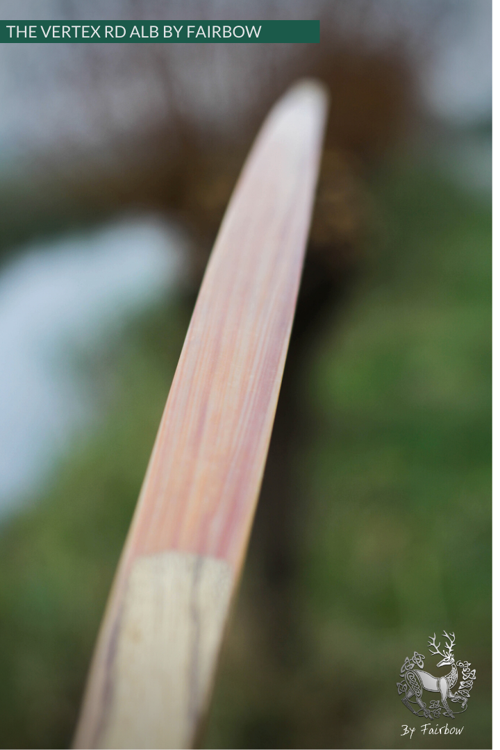 THE VERTEX BOW R-D 64" BLACK LIMBA, BAMBOO-GLASS 36 LBS @ 28 INCH RH-Bow-Fairbow-Fairbow