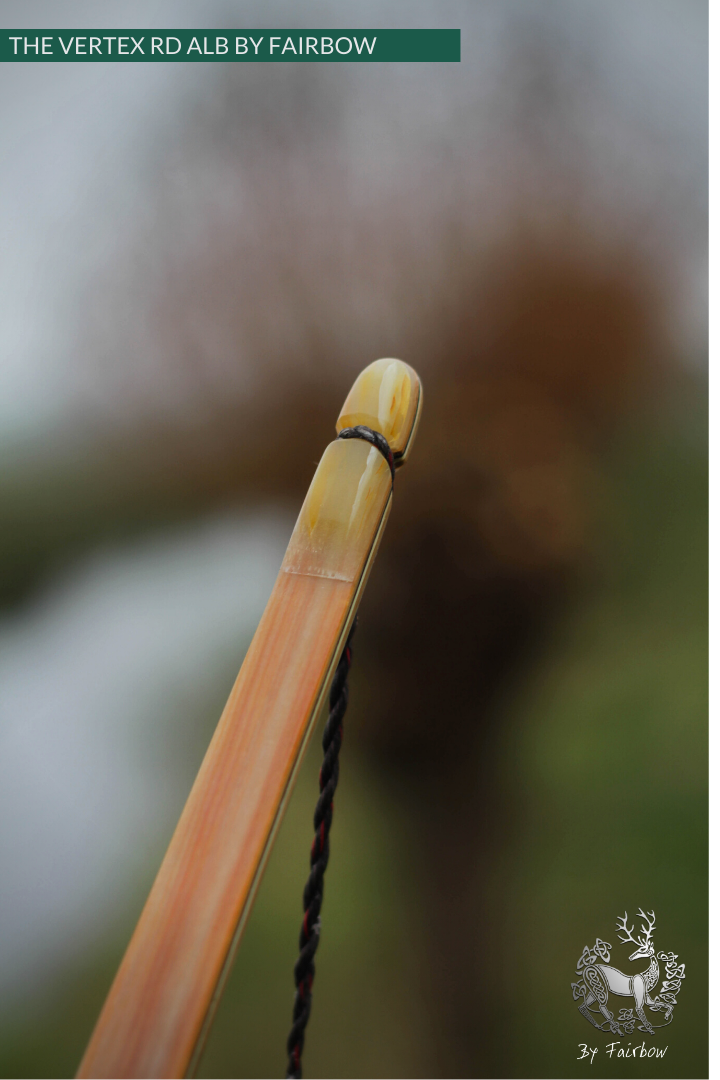 THE VERTEX BOW R-D 64" BLACK LIMBA, BAMBOO-GLASS 36 LBS @ 28 INCH RH-Bow-Fairbow-Fairbow