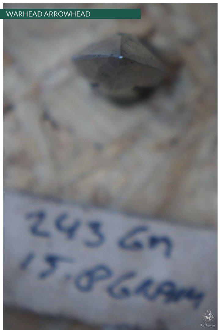 TYPE 16 WARHEAD ARROWHEAD 11 MM HAND FORGED-arrow point-Fairbow-Fairbow