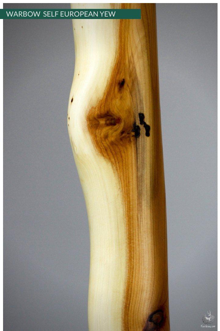 WARBOW SELF EUROPEAN YEW, 155@32-War Bow-Fairbow-Fairbow