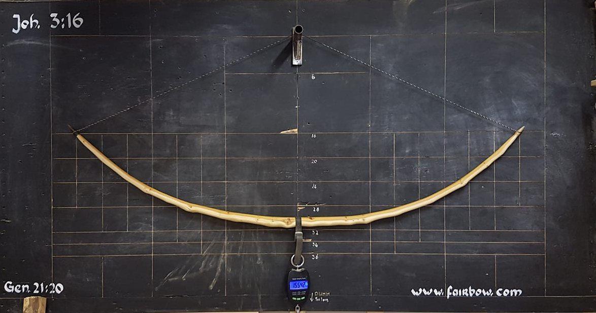WARBOW SELF EUROPEAN YEW, 155@32-War Bow-Fairbow-Fairbow