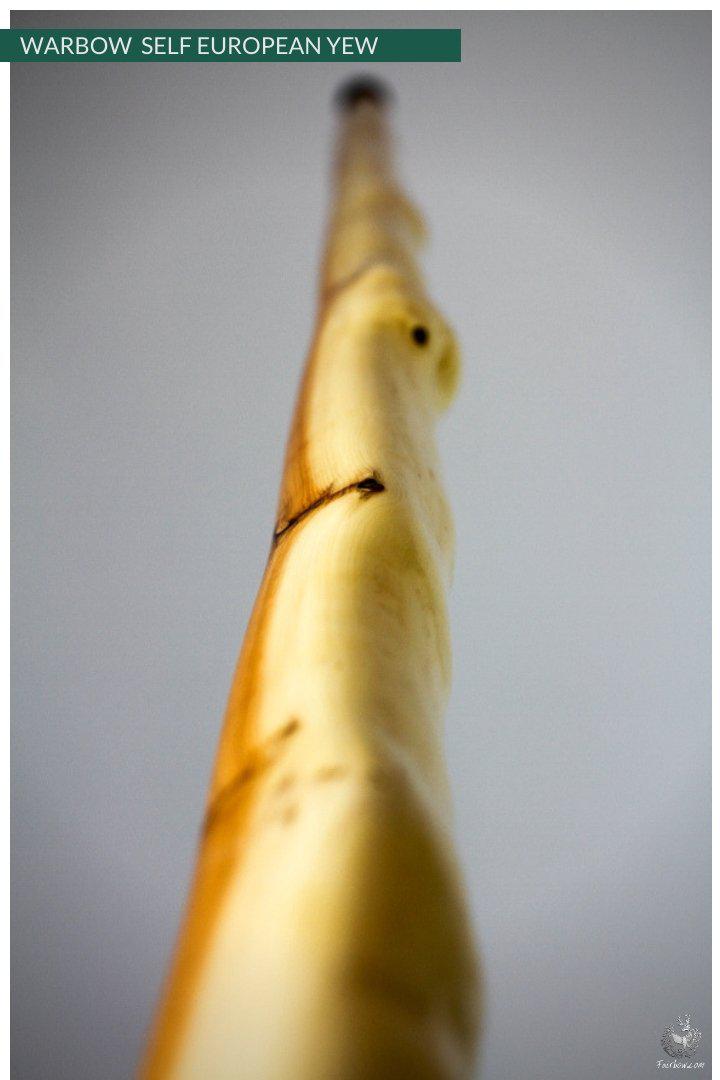 WARBOW SELF EUROPEAN YEW, 155@32-War Bow-Fairbow-Fairbow