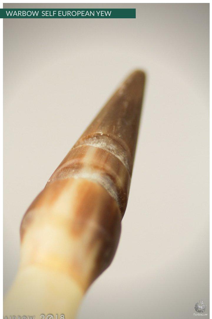 WARBOW SELF EUROPEAN YEW, 58@28, 71@32-War Bow-Fairbow-Fairbow